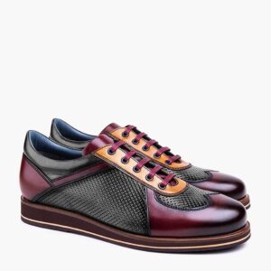 New Melbourne Multicolor